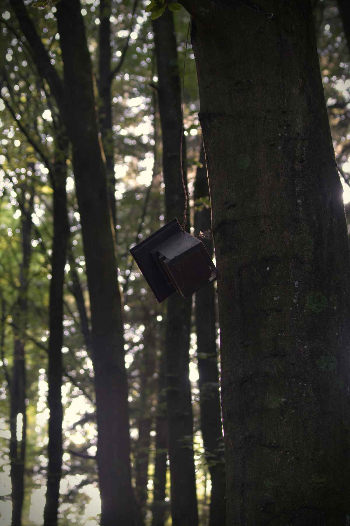 Hanging on by a thread