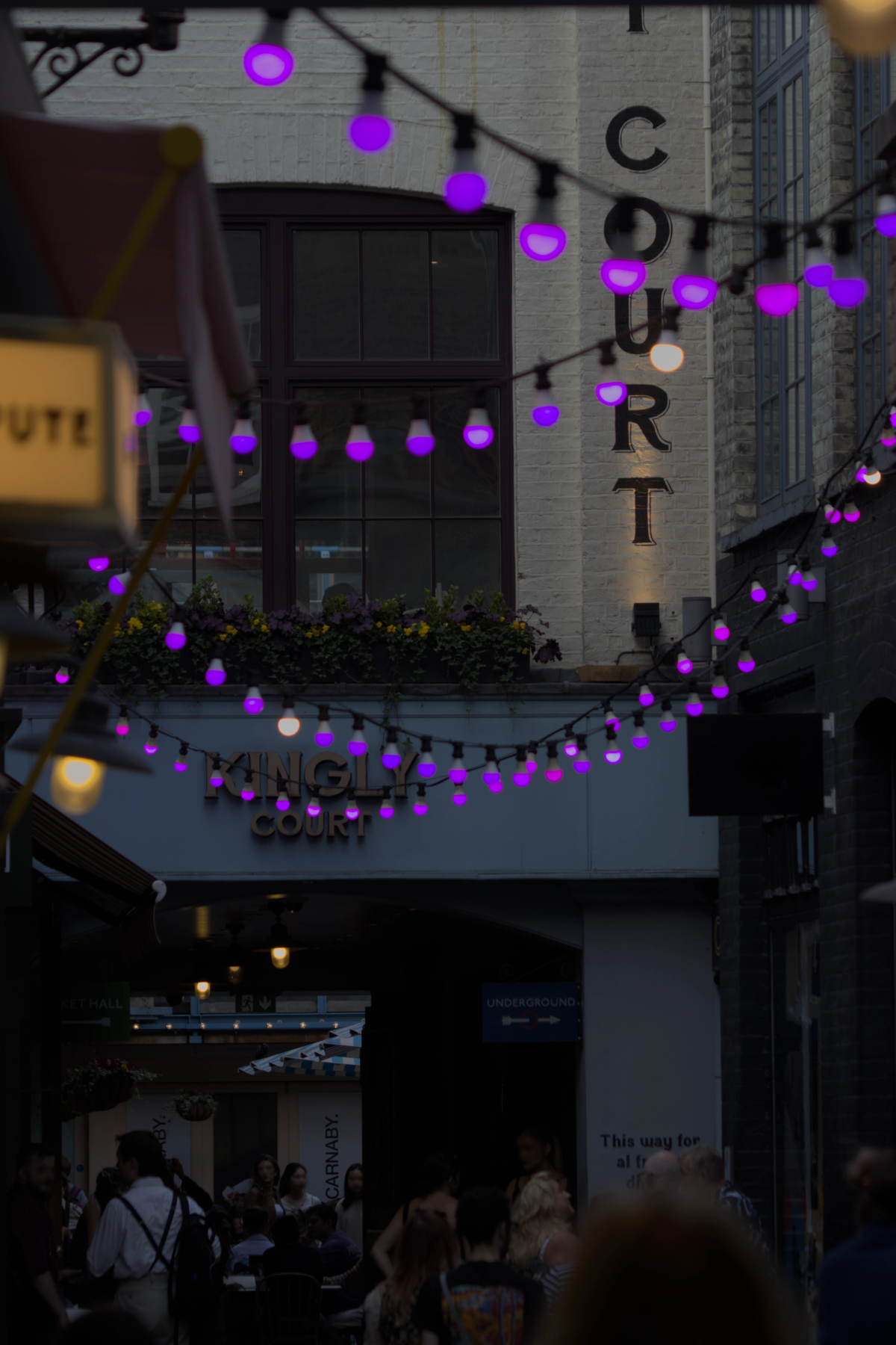 Purple lights