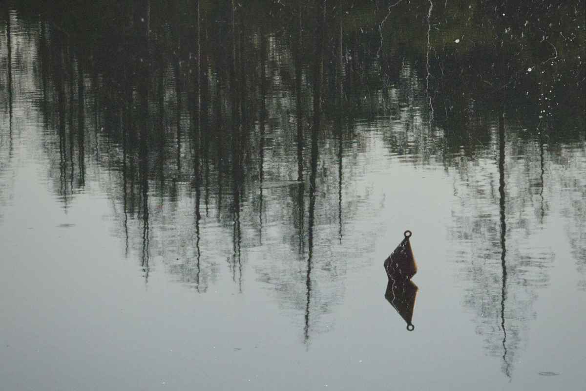 Lone Buoy