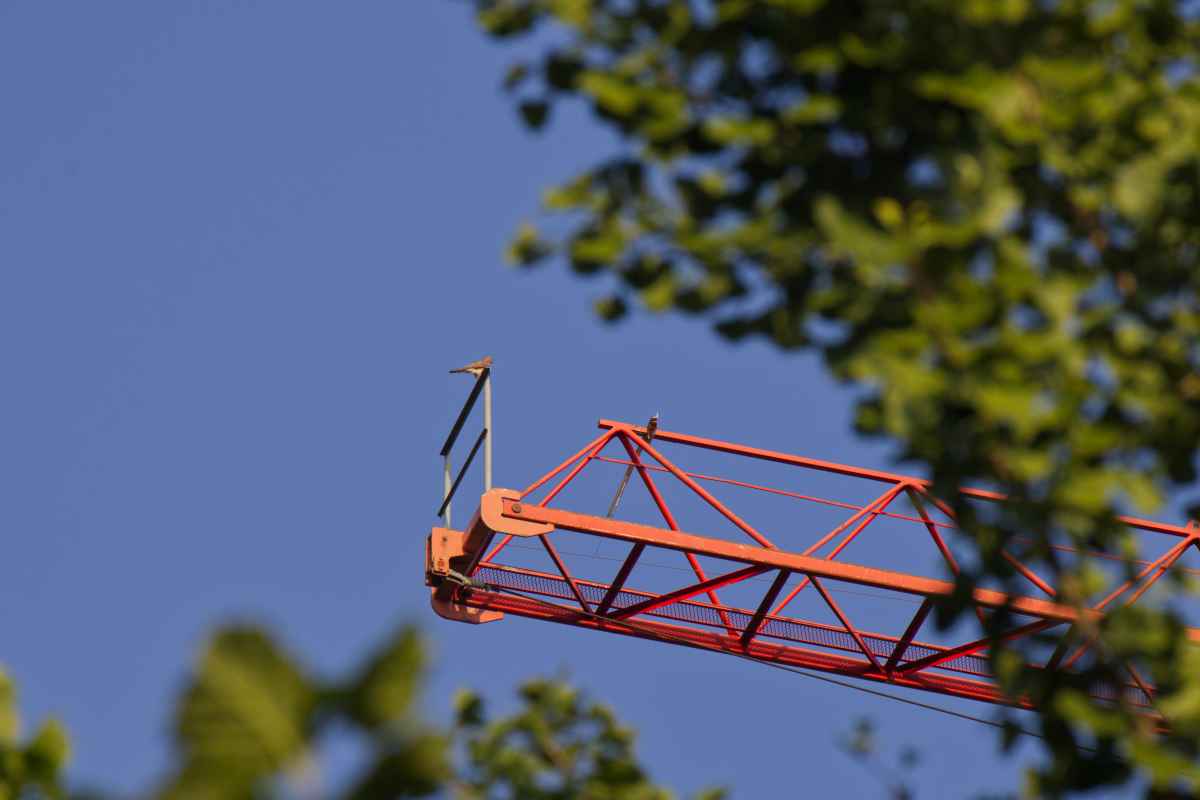 Up in the sky